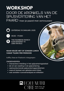 Workshop: Door de kronkels van de spijsvertering van het paard: Voed je paard met vertrouwen